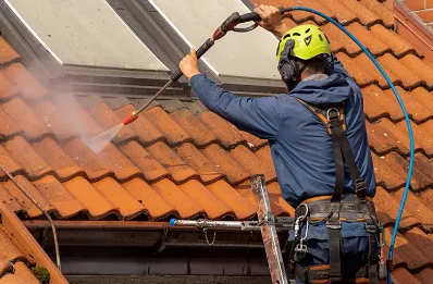 Démoussage et hydrofuge de toiture à Cheppe